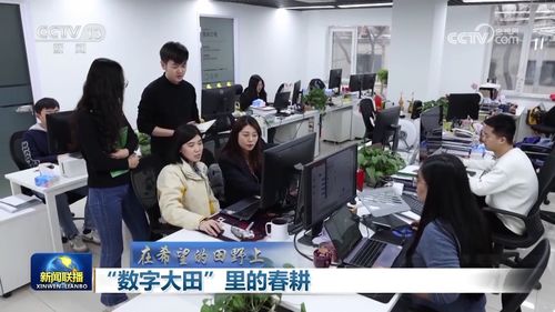 数字大田里的春耕 上海信息咨询服务引领农业现代化新篇章