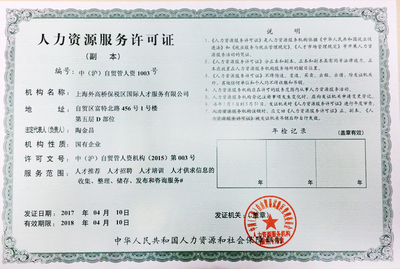 上海信息咨询服务 专业导航，智启未来