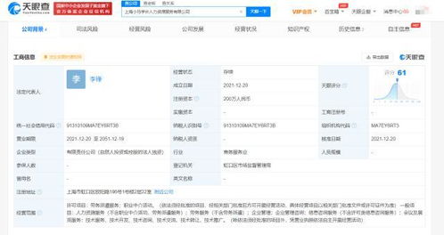 上海信息咨询服务 数字化浪潮下的智慧枢纽